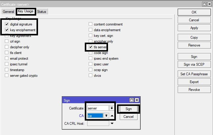 Mikrotik openvpn